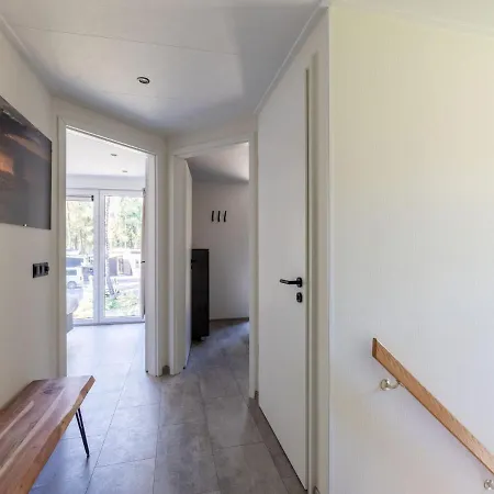 Family In Forest Park *