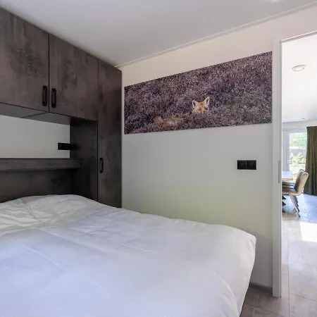 Family In Forest Park