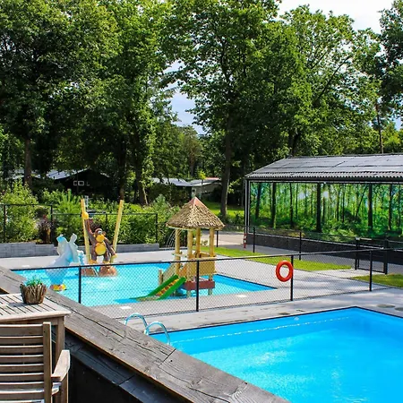 Family In Forest Park