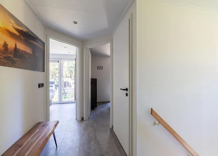 Family In Forest Park *