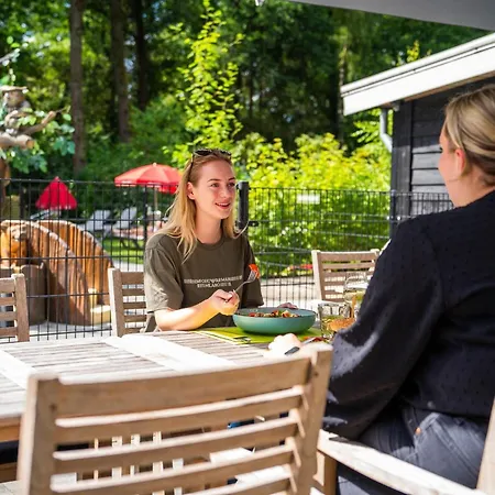 Family In Forest Park
